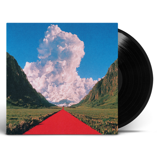 Maybe In Time - Vinyl